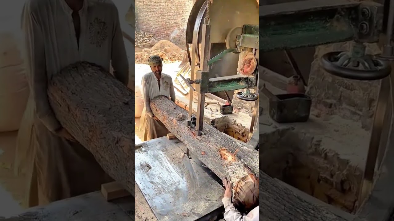 Manual operation of a bandsaw machine for cutting raw timber logs