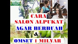 How to Service (Salon) Avocado Trees So They Quickly Bear Abundant Fruit and Become Rich Automati... screenshot 1