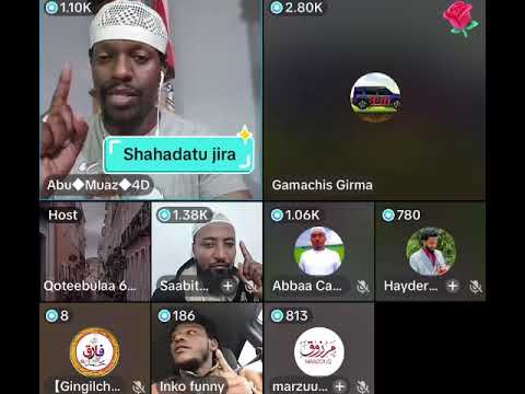 Waan Ajaa Ibaatu Mulate Gammachisi Gara Amanda Irrati Dhalatee Dhufe Jira