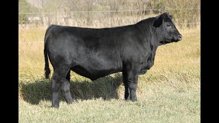 Lot 21_B - Bar AMB Four Guns 26N_UZX 26N