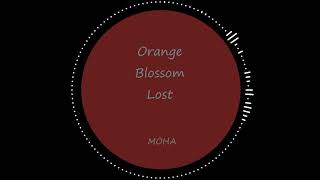 Orange Blossom . Lost ( Edit Möha ) she say to the night