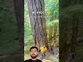 Tree Cutting Gone Wrong || Cutting Trees Is Not a Simple Job #viralshorts