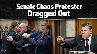 Tim Sheehy Helps Capitol Police Remove Protester In Senate Hearing Viral Video