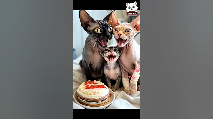 Sad SYPHNX cats get kittens love 😭😍 #shorts #viral #cat #meow meow meow