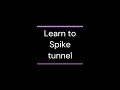 How to Spike Tunnel in Hollow Knight