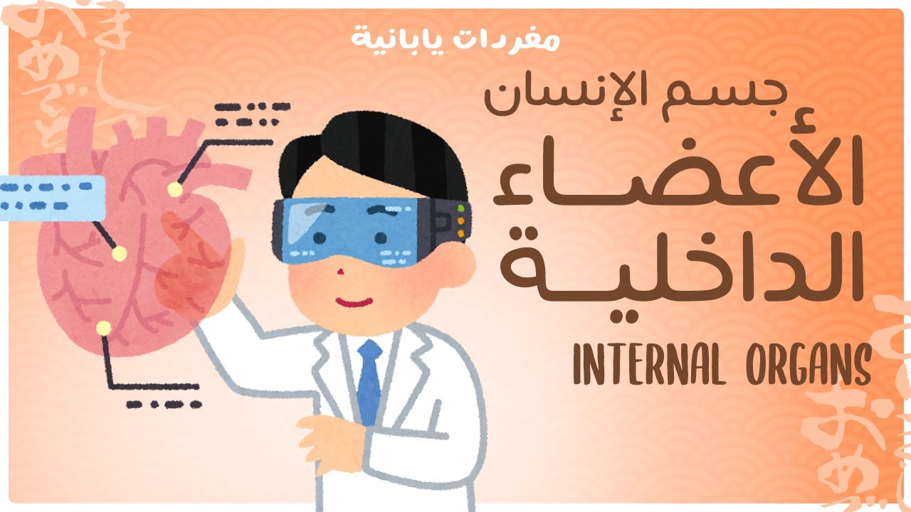 جسم الإنسان: الأعضاء الداخلية - Internal Organs - مفردات يابانية