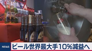 ビール世界最大手ＡＢインベブ10％減益へ