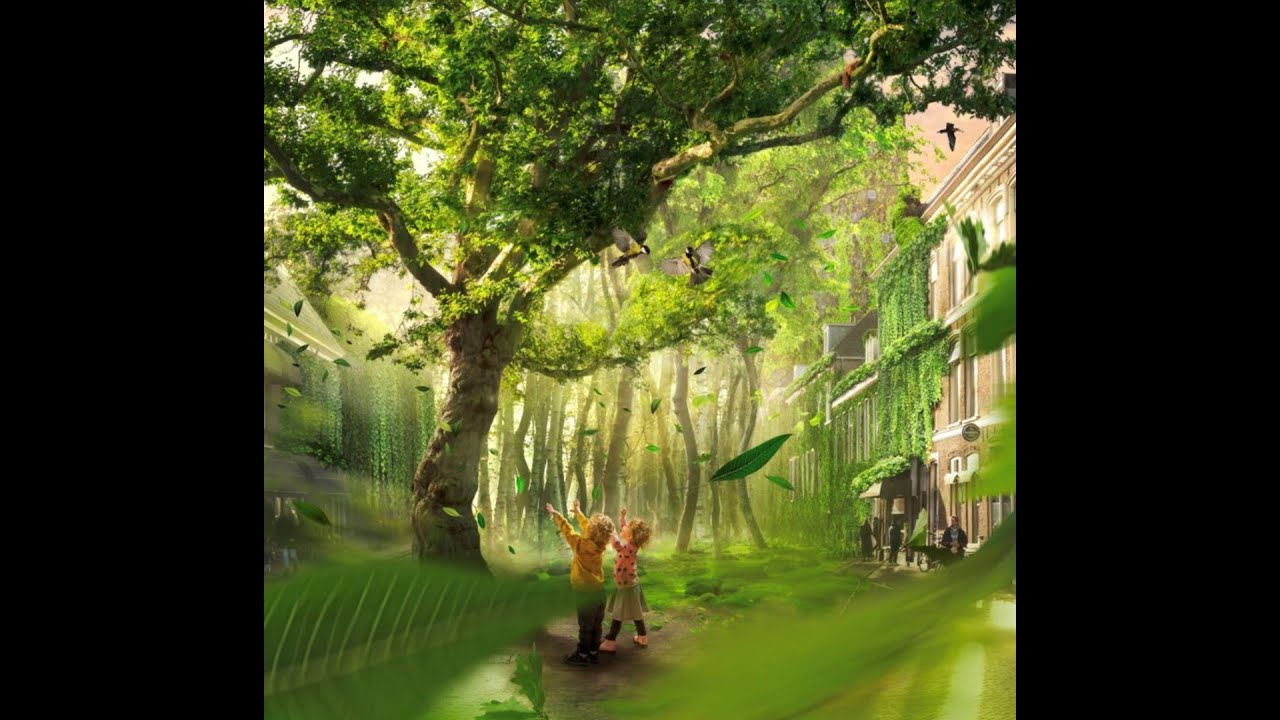 Bosk Geloven in Leeuwarden, Trees van Montfoort, lezing zondag 8 mei Doopsgezinde Kerk Leeuwarden