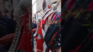 #horse #risingbahria #tahir #streetviewbahriaorchard #yaali #completevisitofbahria #bahria