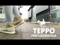 Evidensia pentupivkirjat  osa 4 teppo pentukerhossa