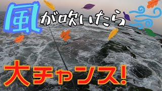 激しい北風の中ルアーを投げたらやっぱりあの魚が居た!!
