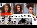 A Week In My HAIR  👩🏽‍🦱 & My Fitness Routine To Lose Weight 💃🏽🏋🏽‍♀️