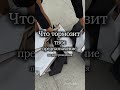 Что тормозит ТВОЁ предназначение #нумерология #нумерологиямосква #нумерология_светлана #numerologist