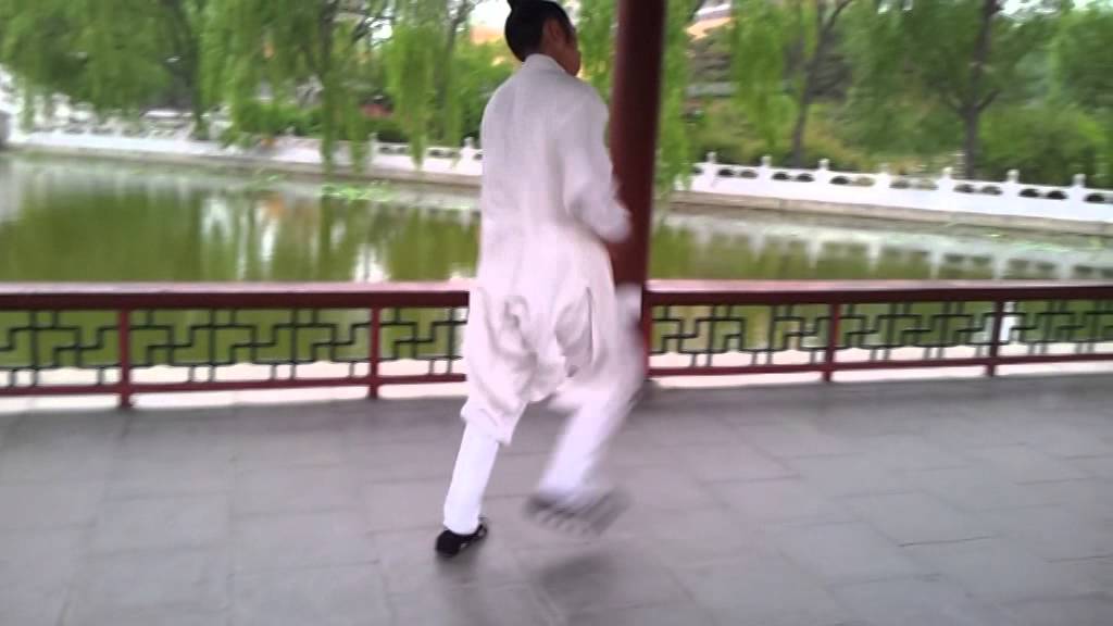 Xiang Zishi Wudang Xuanwu Quan In Summer Palace 向资师 玄武拳