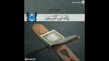 سورة يس بصوت الشيخ ناصر بن يعقوب الذوادي