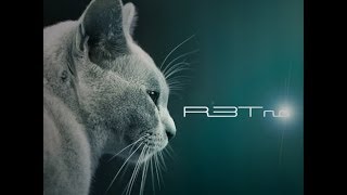 R3Tno -  Zookey  (Original mix)