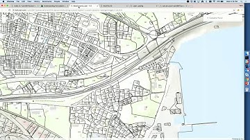 ArcGIS API for JavaScript: Creating Custom Layers and Layer Views