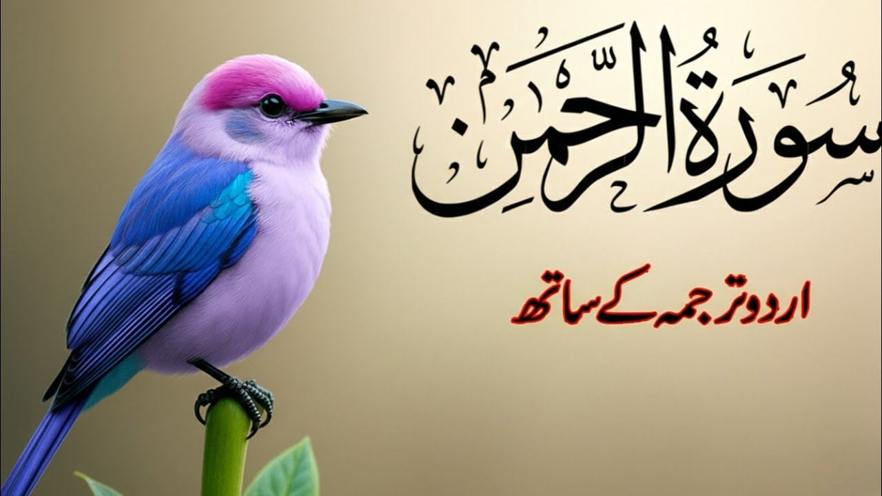 Surah Ar-Rahman with Urdu Translation | Heart Touching Quran Recitation | Episode 26 | Q Quran Tv