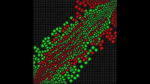 Simulating crowds based on a space colonization algorithm (BioCrowds)