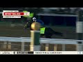 Kentucky Derby Gallop: Chief Wallabee April 30