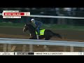 Kentucky Derby Gallop: Chief Wallabee April 30