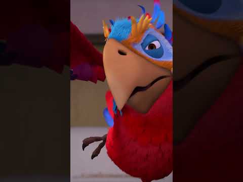 이래라저래라 하지 마! 🦜 #shorts #마샤와곰 #mashaandthebear #앵무새 길들이기 #kids #cartoon #kidscartoons