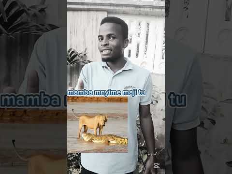 MAMBA WE MYIME TU MAJI UMEMMALIZA Wildlife Crocodile Lion Animals Wildanimals Hunting 
