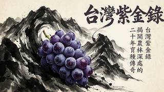 紫色寶石的秘密：從巨峰到金牌美酒，台灣葡萄的華麗轉身！#葡萄 #美酒 #專家