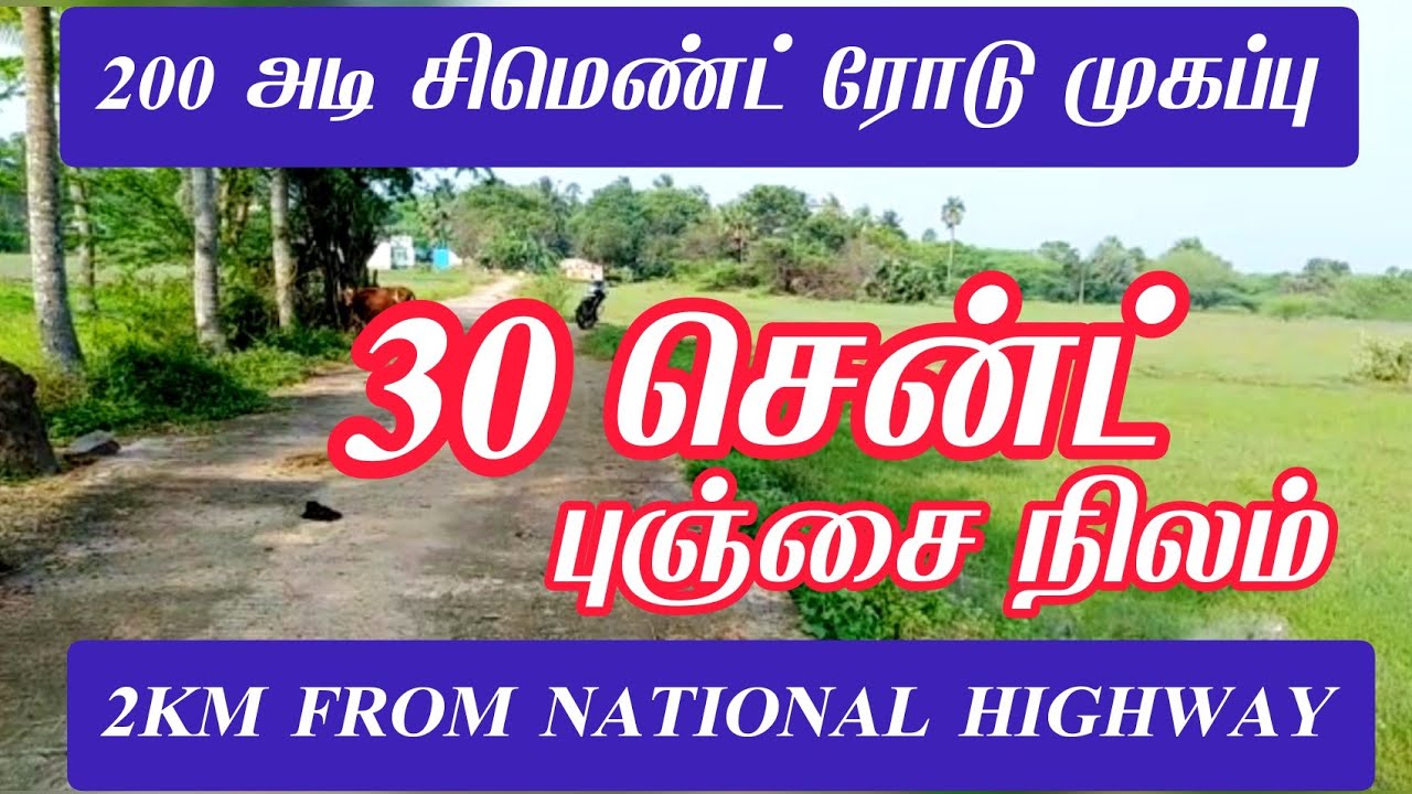 30 சென்ட் புஞ்சை நிலம் Agriculture land for sale low budget land