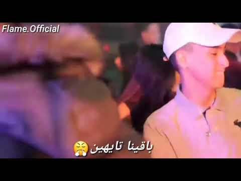 اغنيه قاعدين يلا وشاربين