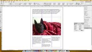 Celebrity How to Thread Text in Adobe InDesign Profile