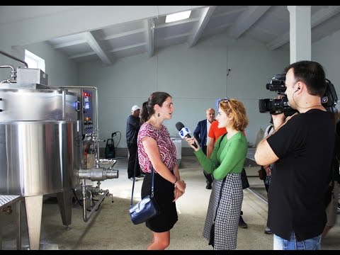 PIN-მა რძის პროდუქტების მწარმოებელი კოოპერატივი გახსნა_PIN Opened Diary Cooperative Zestafonuri IPIN