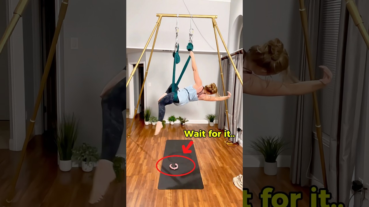 Aerial Yoga as a Dog Mum 👀🐶 #aerialyoga #aerialhammock