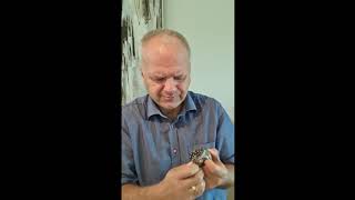 Intro Video Marc Sons