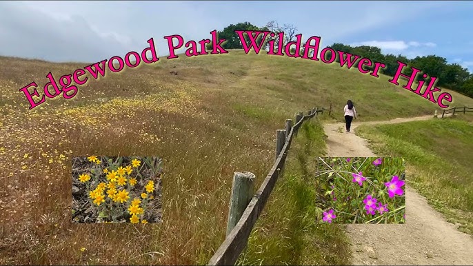 Edgewood Park