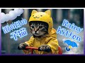 雨の日お買い物と料理☔Kitten Daifuku’s Rainy Day: Shopping & Cooking