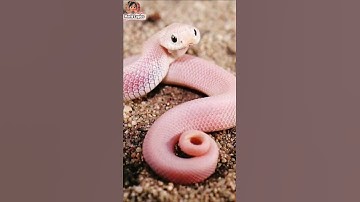 Thumbnail of Call me when you want #snakestransformation #animalstransformation #shorts #WorldLogics
