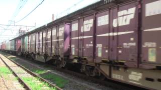 【Japan Railway】EF65 1117牽引コンテナ