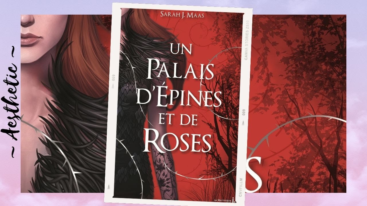 Un palais d'épines et de Rose T.1 * 𝐀𝐄𝐒𝐓𝐇𝐄𝐓𝐈𝐂 * - YouTube