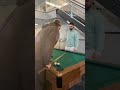 How to ALWAYS WIN in Billiards 🎱