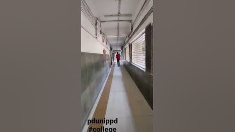 pdunippd #college #collegelife
