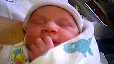 Melissa Grace Thelen