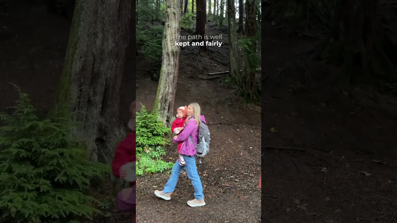 The Hermitage, Dunkeld Scotland - Epic Waterfall!