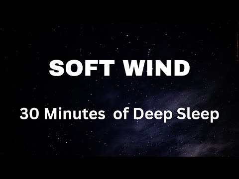 Soft Wind Sleep 30 Min Black Screen Fall Asleep Fast Wake Up Fresh