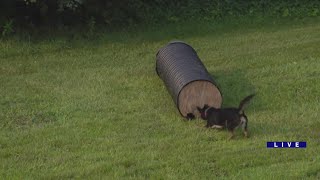 Around Town - Search and Rescue Strike Team