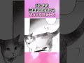 路地裏で出会った野良猫がヤバすぎた