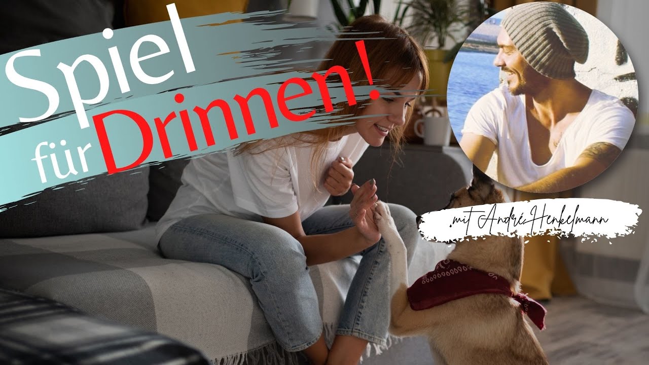 Tolle Indoor-Beschäftigungsmöglichkeit für deinen Hund! Profi-Tipps!