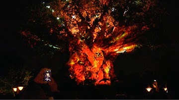 Tree of Life Projection Show with Disney Animated Movie Scenes at Animal Kingdom