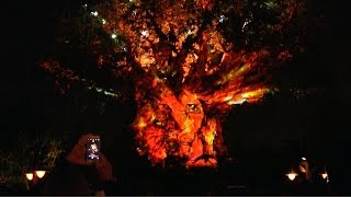 Tree of Life Projection Show with Disney Animated Movie Scenes at Animal Kingdom