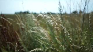 Mozart KV 405-1 (string quartet transcription of Bach BWV 871)